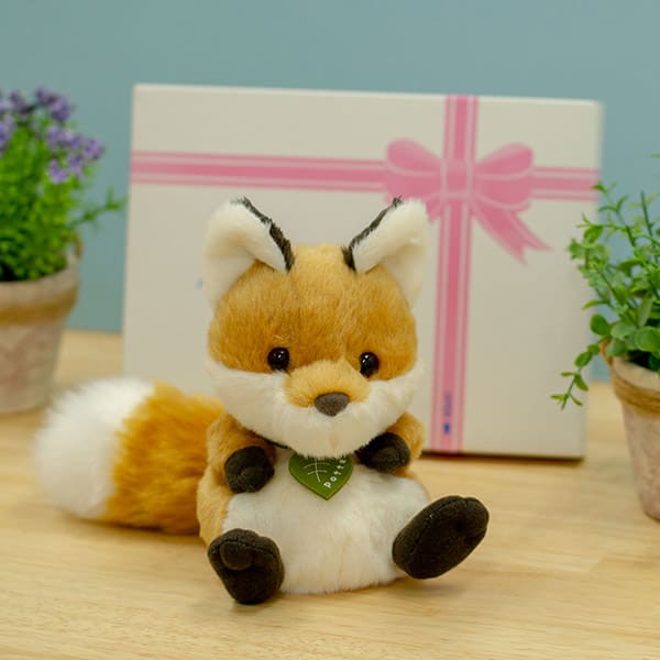 potte キツネぬいぐるみ＋ドキドキHAPPYBOX電報