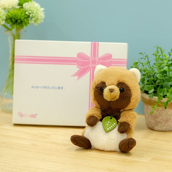 potte タヌキぬいぐるみ＋ドキドキHAPPYBOX電報