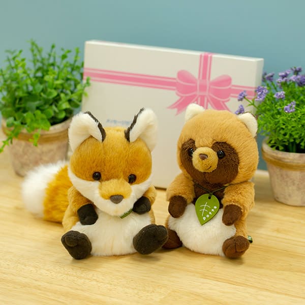 potte キツネ&タヌキぬいぐるみ＋ドキドキHAPPYBOX電報