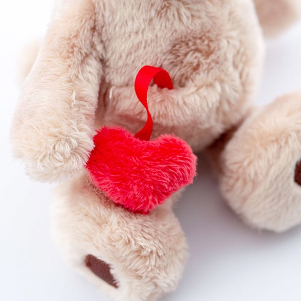 NICI（ニキ）ラブベア クラシックぬいぐるみ ポポ（15cm）＋ドキドキHAPPYBOX電報