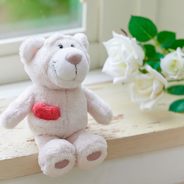 NICI（ニキ）ラブベア クラシックぬいぐるみ ララ（15cm）＋ドキドキHAPPYBOX電報