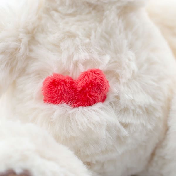 NICI（ニキ）ラブベア クラシックぬいぐるみ ララ（25cm）＋ドキドキHAPPYBOX電報