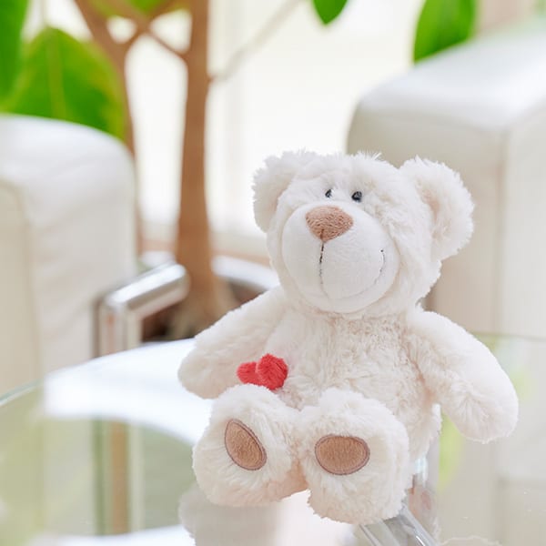 NICI（ニキ）ラブベア クラシックぬいぐるみ ララ（25cm）＋ドキドキHAPPYBOX電報