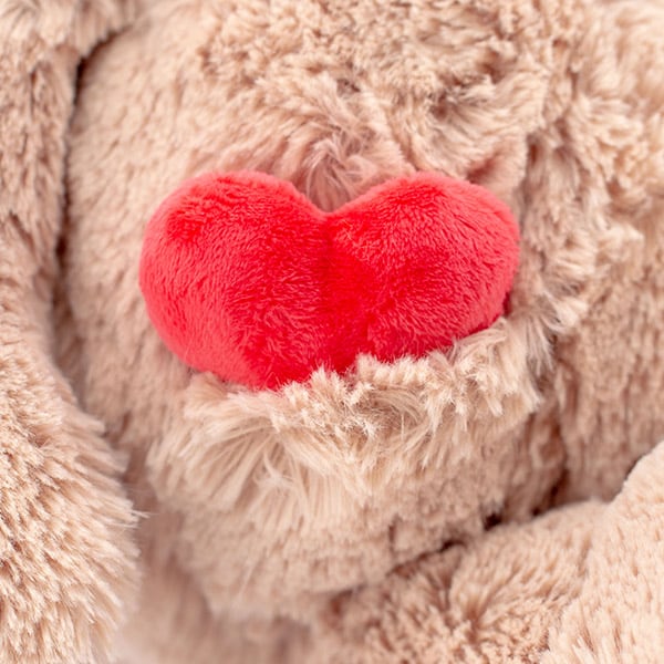 NICI（ニキ）ラブベア クラシックぬいぐるみ ポポ （50cm）＋ドキドキHAPPYBOX電報