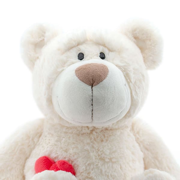 NICI（ニキ）ラブベア クラシックぬいぐるみ ララ（50cm）＋ドキドキHAPPYBOX電報