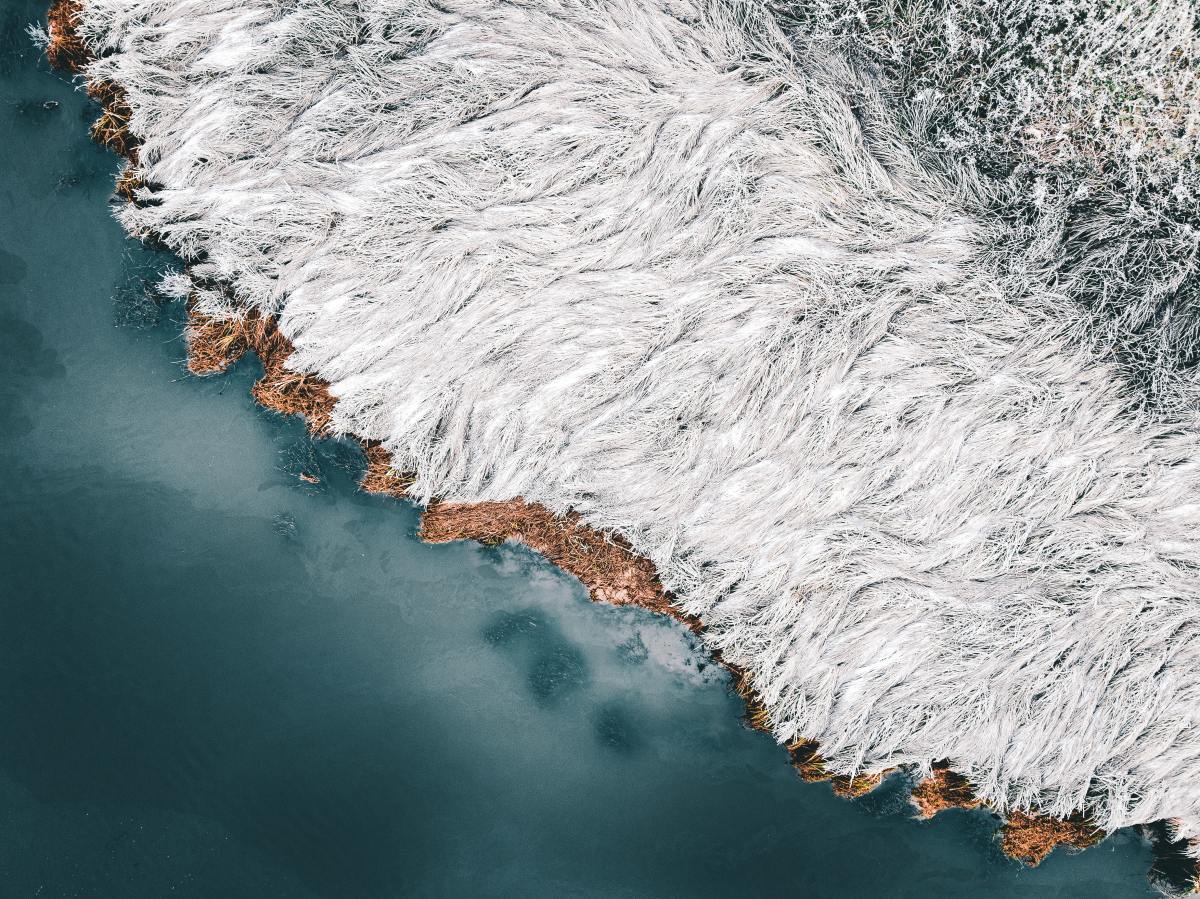 Claridad de  Saša Jurić