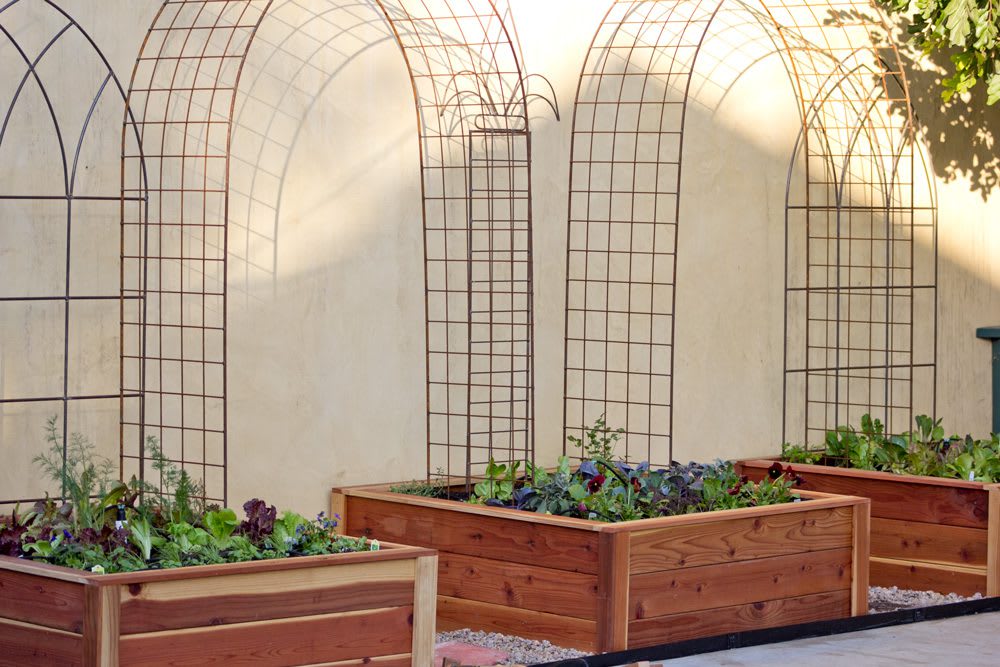 English Tudor Trio Border Garden | Angled photo of three planted beds and trellising