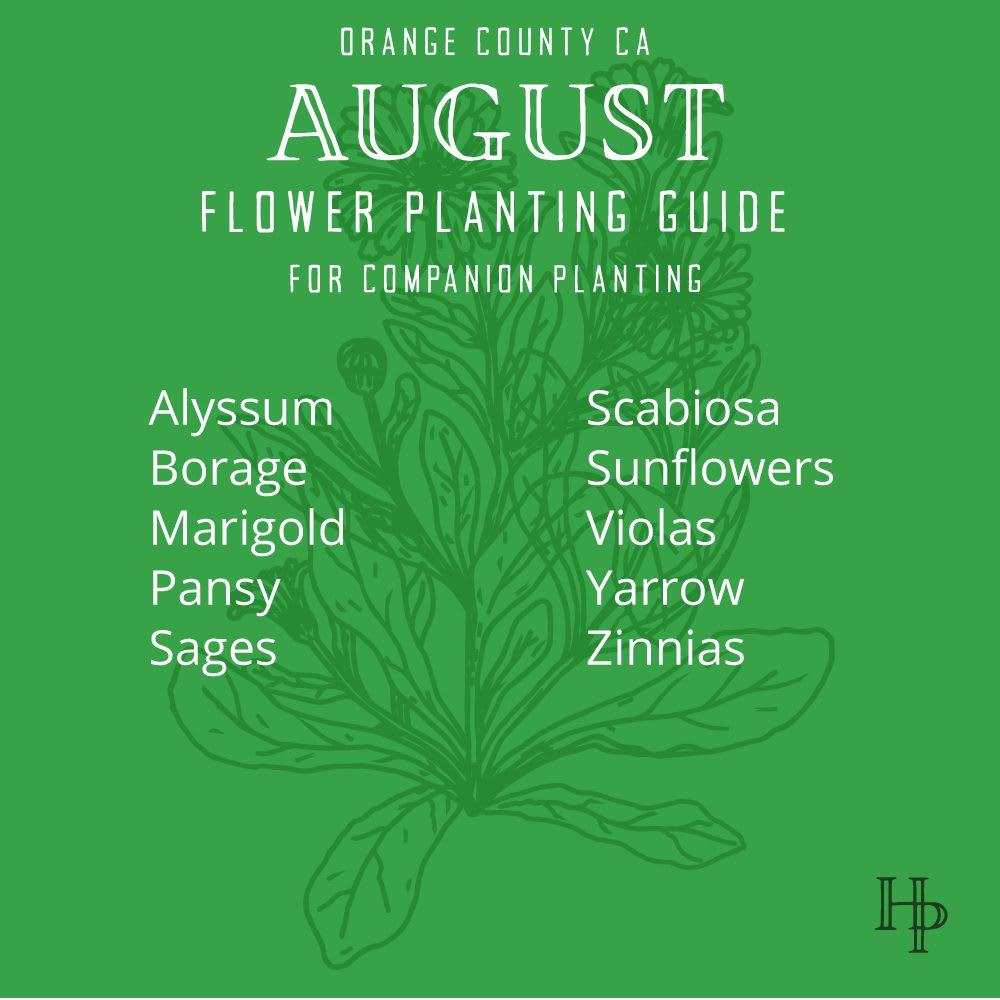 Orange County August planting guide