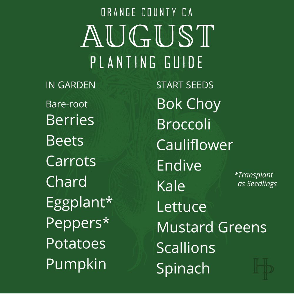 B_2021_AugustPlanting_List Orange County August planting guide