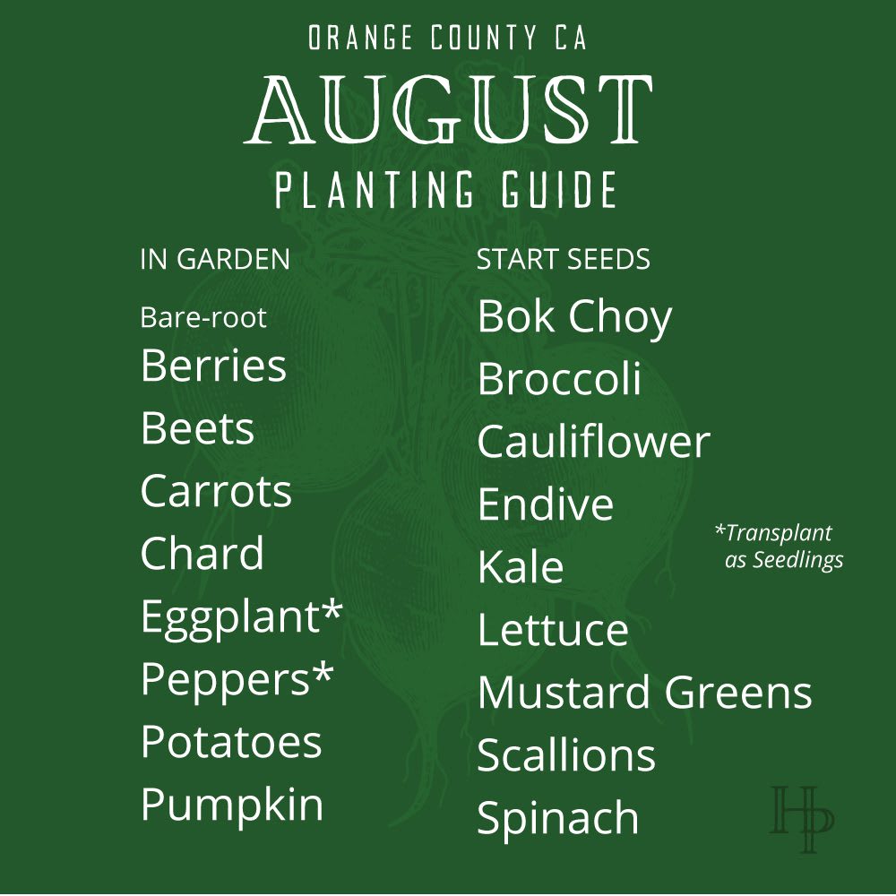 Orange County August planting guide