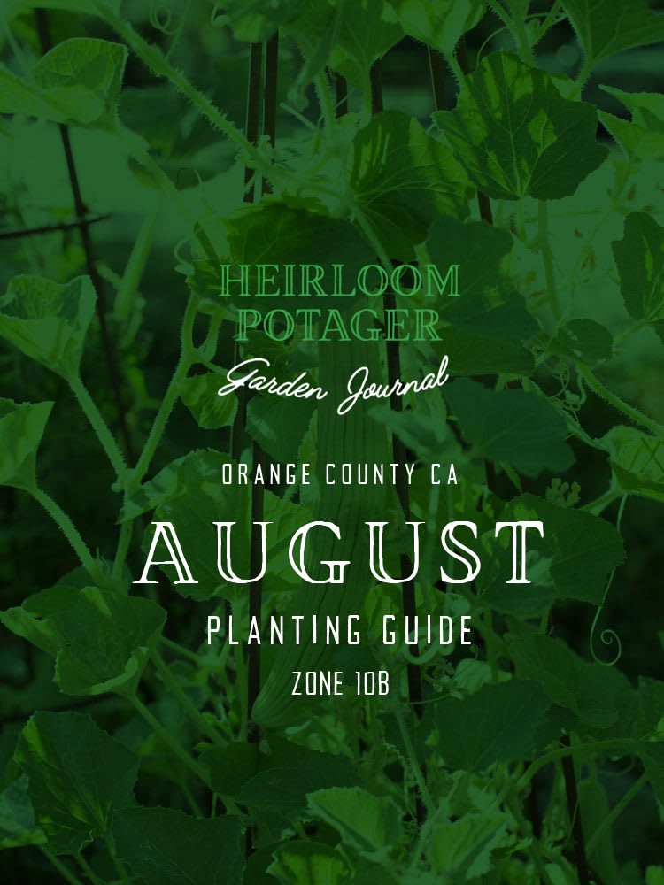 Orange County August planting guide