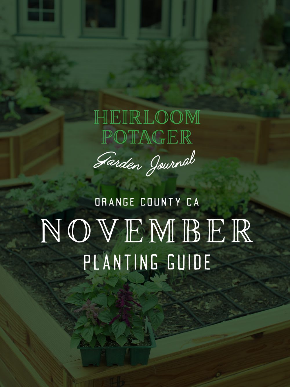 Heirloom Potager Garden Journal | Orange County, CA November Planting Guide