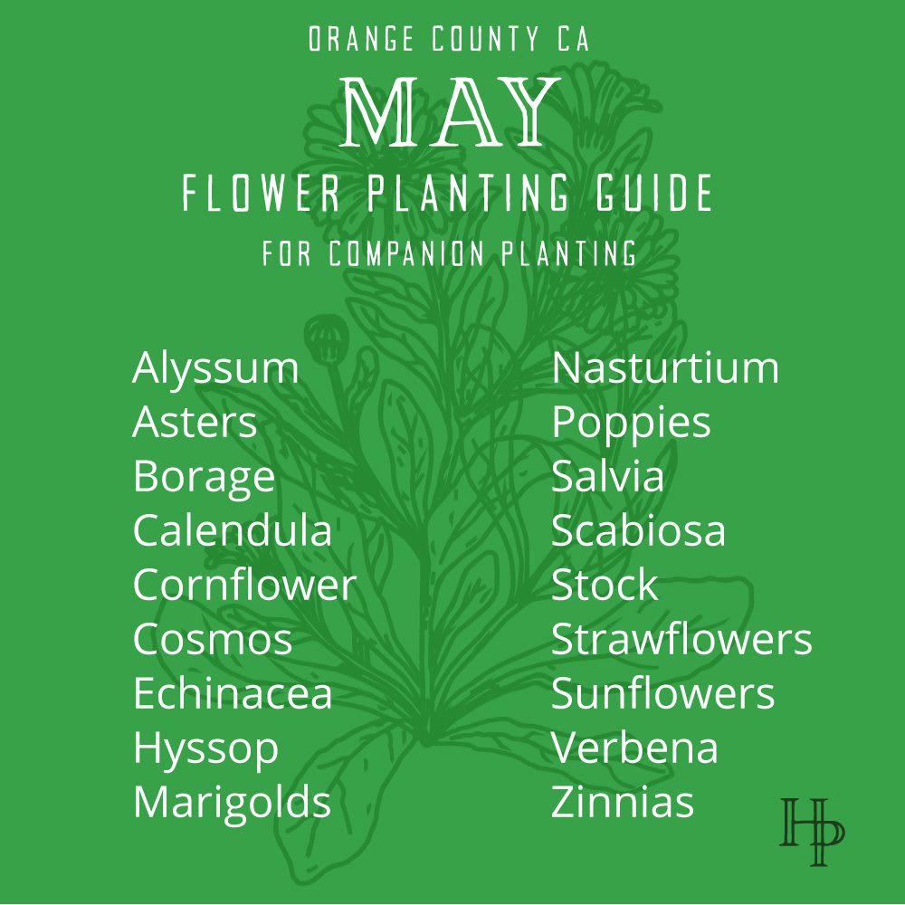 D_2021_MayPlanting_FlowerList Orange County, CA May Flower Planting List