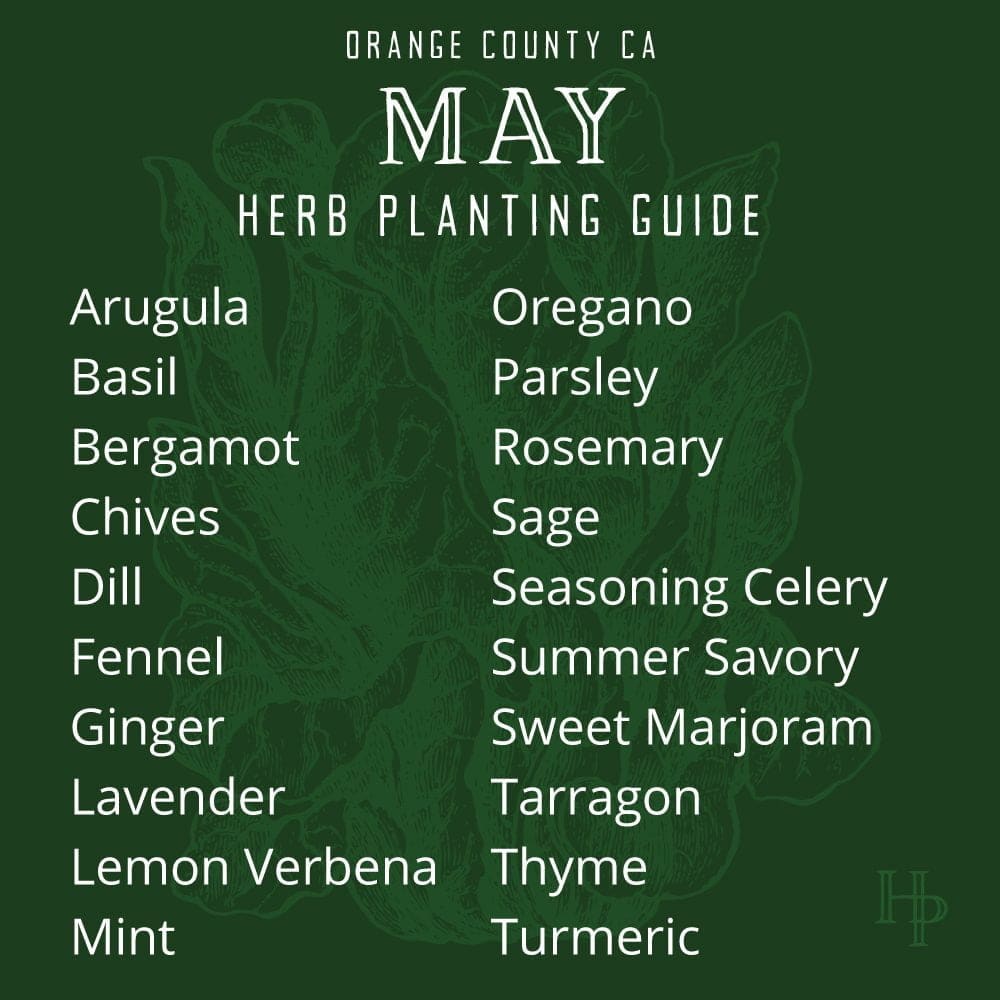 Orange County, CA May Herb Planting List