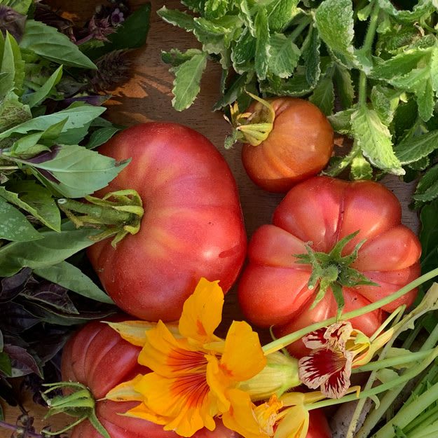 SaladFruitsVeg_Web Salad Philosophy: Close up image of salad fruits + vegetables: tomatoes, basil, radishes, nasturtium flowers