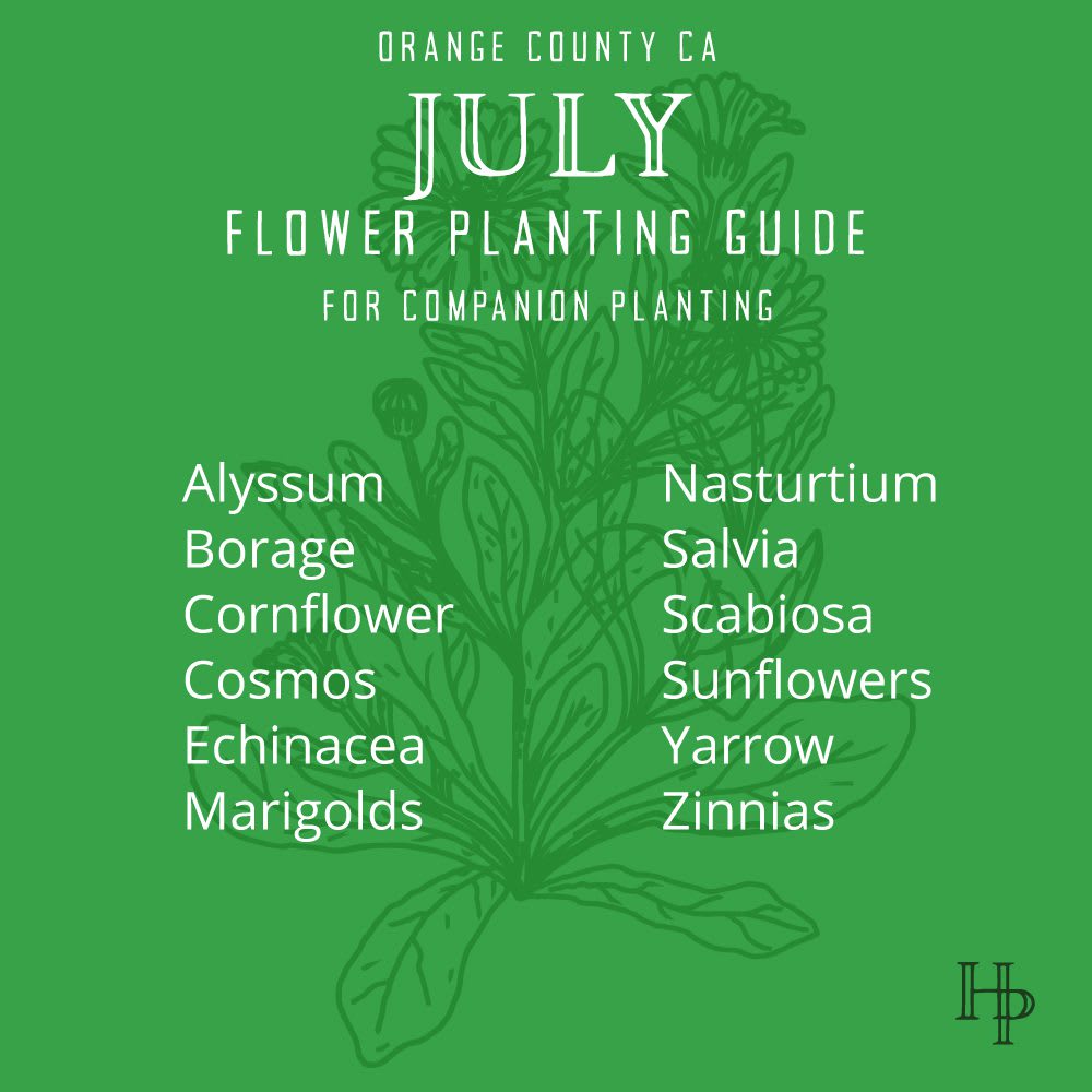D_2021_July_Planting_FlowerList Orange County, CA July Flower Planting List