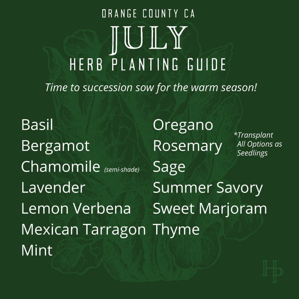 C_2021_JulyPlanting_HerbList Orange County, CA July Herb Planting List