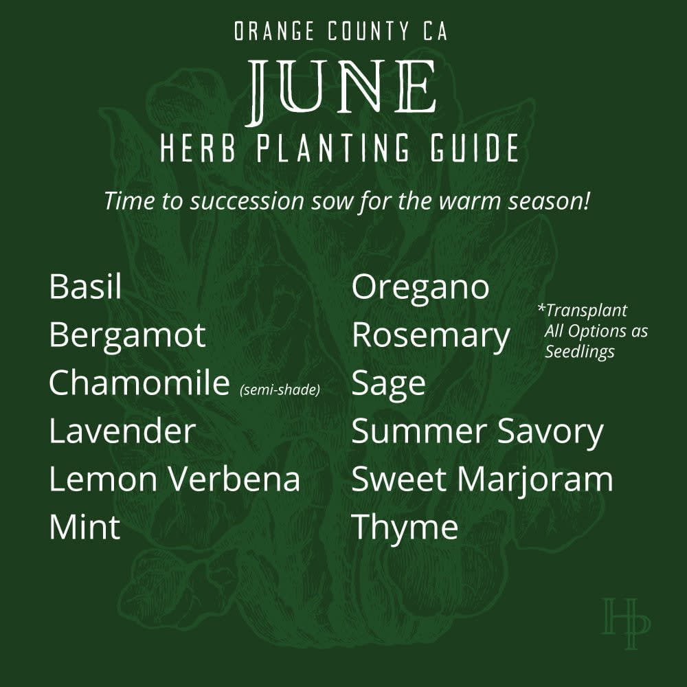 C_2021_JunePlanting_HerbList Orange County, CA June Herb Planting List