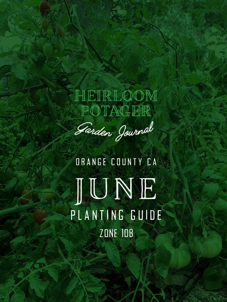 Heirloom Potager Garden Journal | Orange County, CA June Planting Guide