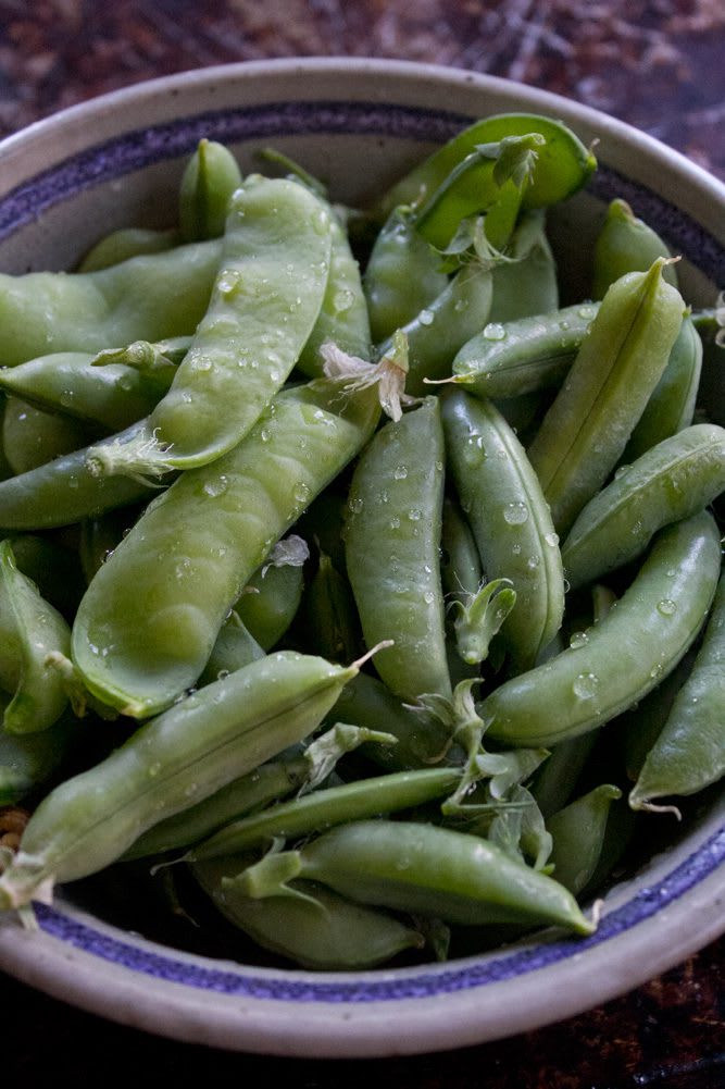 Bowl of freshly washed snap peas from the Heirloom Potager Showcase Garden