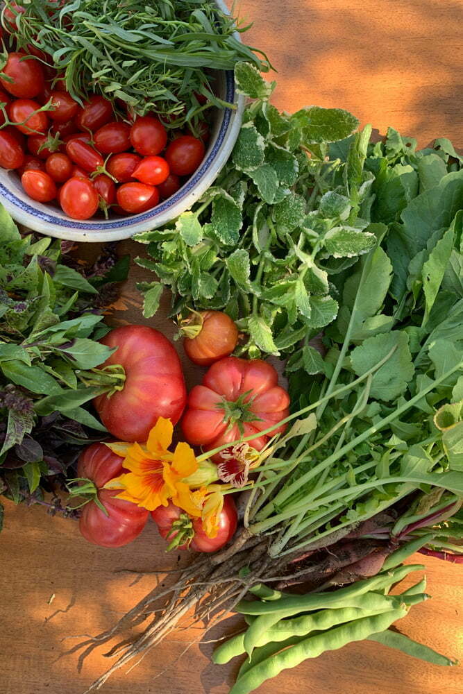 Summer harvest from Poppy & Seed Chef's Garden in Anaheim, CA zone10b