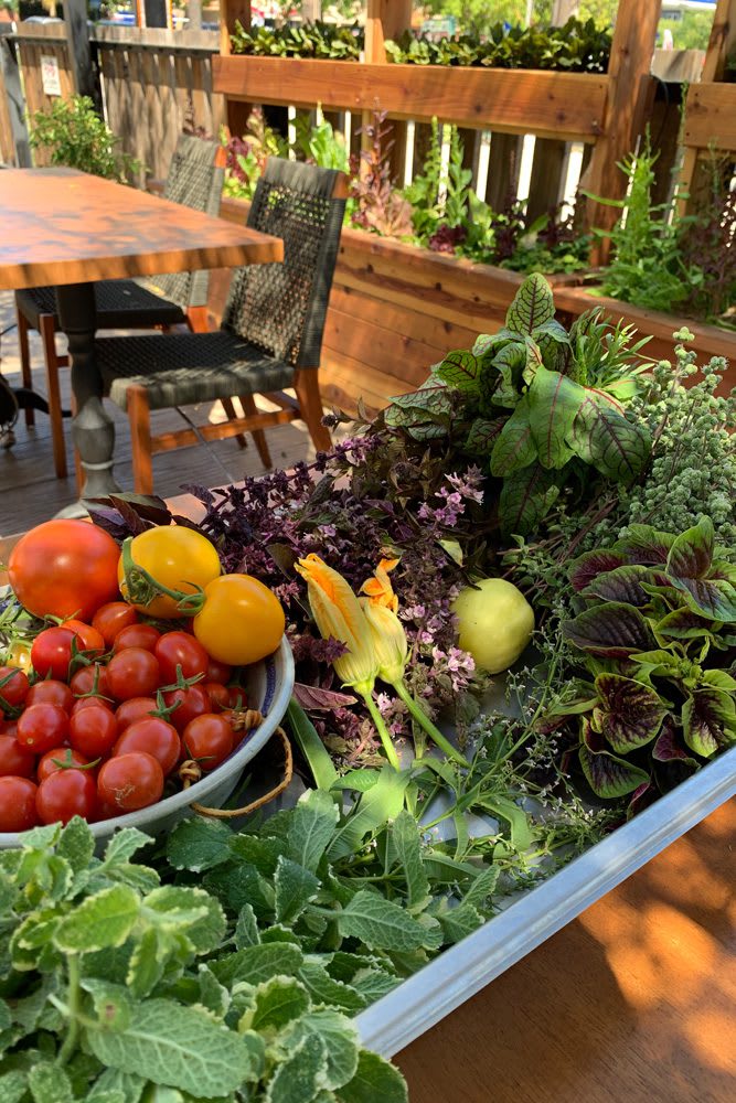 Summer harvest from Poppy & Seed Chef's Garden in Anaheim, CA zone10b