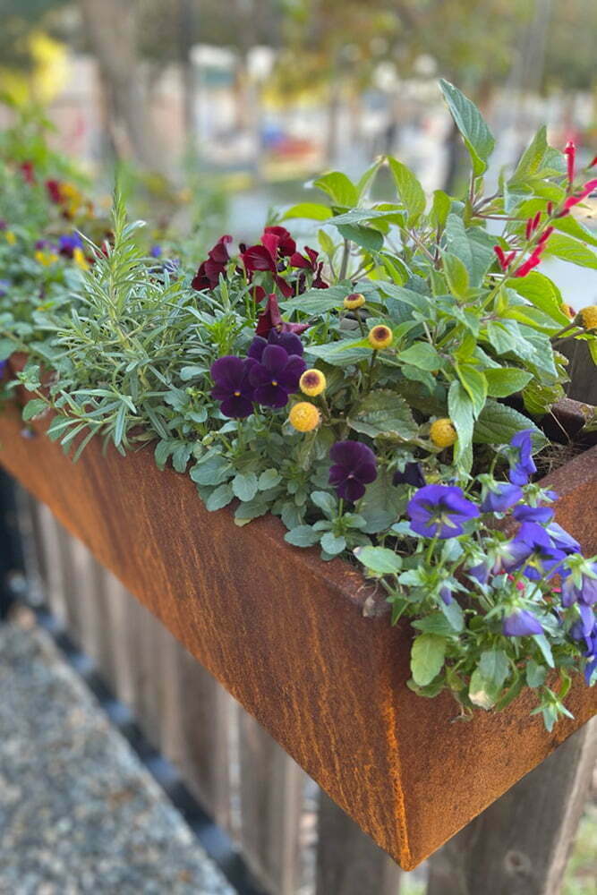 heirloom-potager-october-P_web