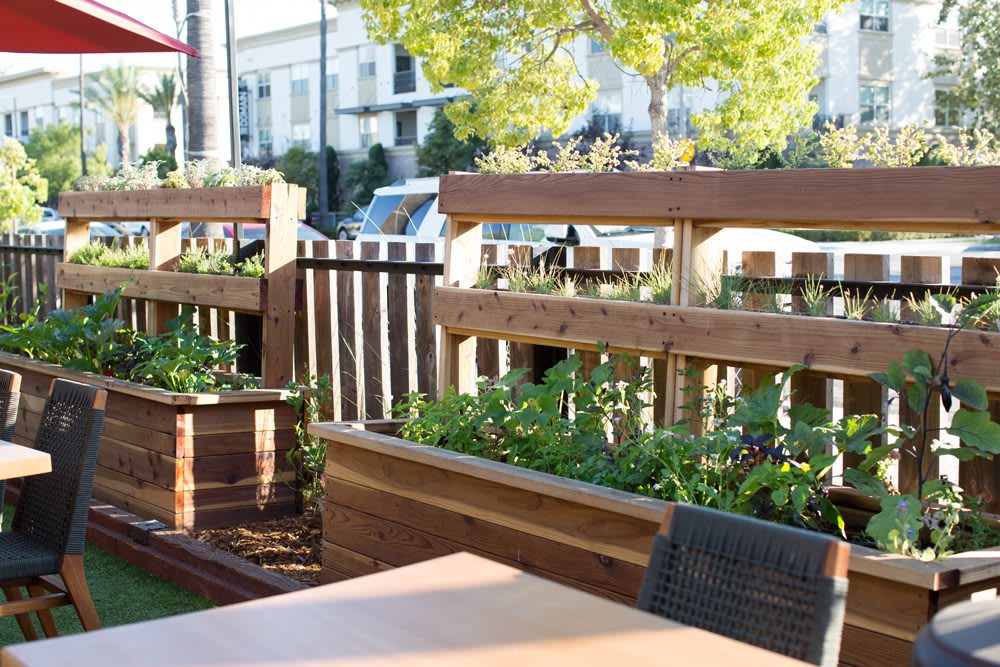 Garden Seating area at Poppy & Seed restaurant in Anaheim, CA full of raised garden beds | Photo by Nicole Kent