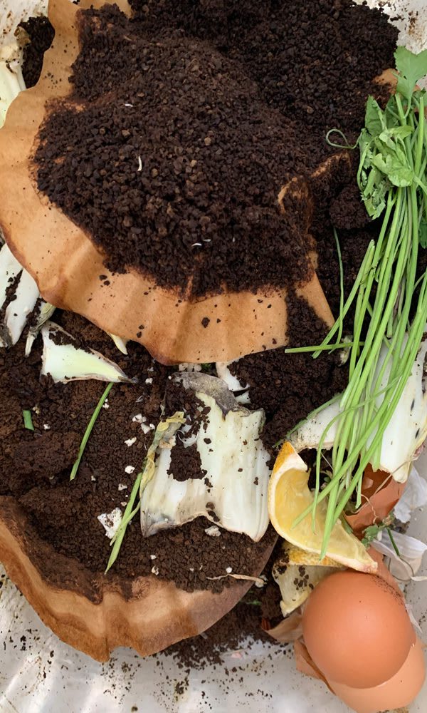 CompostingMaterials_KitchenScraps_web Gathered Kitchen Scraps for Composting - coffee grounds, eggshells, herbs, lemon peels