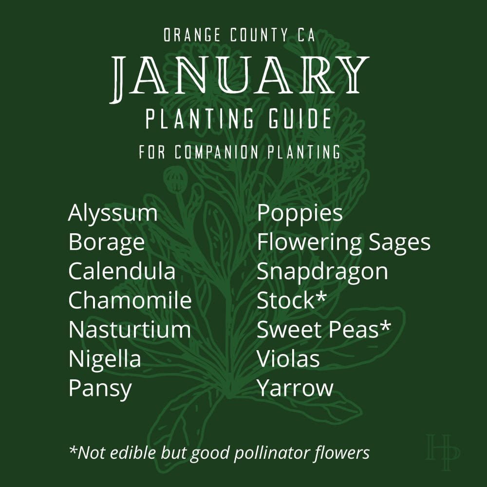 D_2022_Jan_Planting_FlowerList Orange County, CA January Flower Planting List