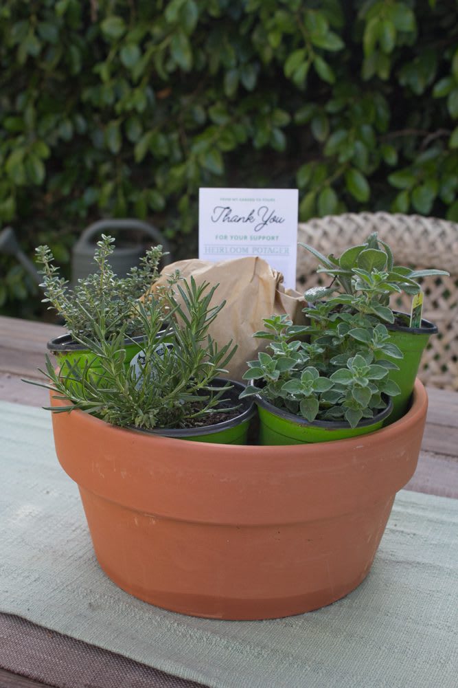 Custom Heiroom Potager Herb Kit for Garden Workshop