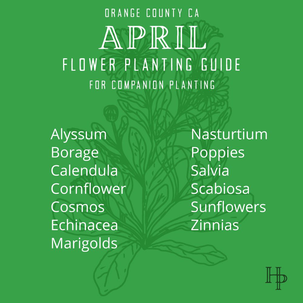D_2021_April_Planting_FlowerList Orange County, CA April Flower Planting List