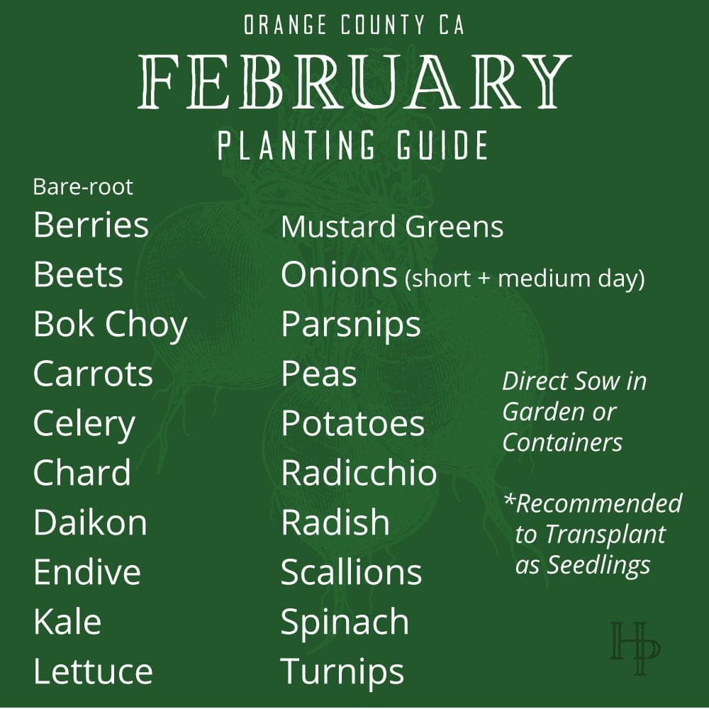 B_2021_FebruaryPlanting_List Orange County, CA February Planting List