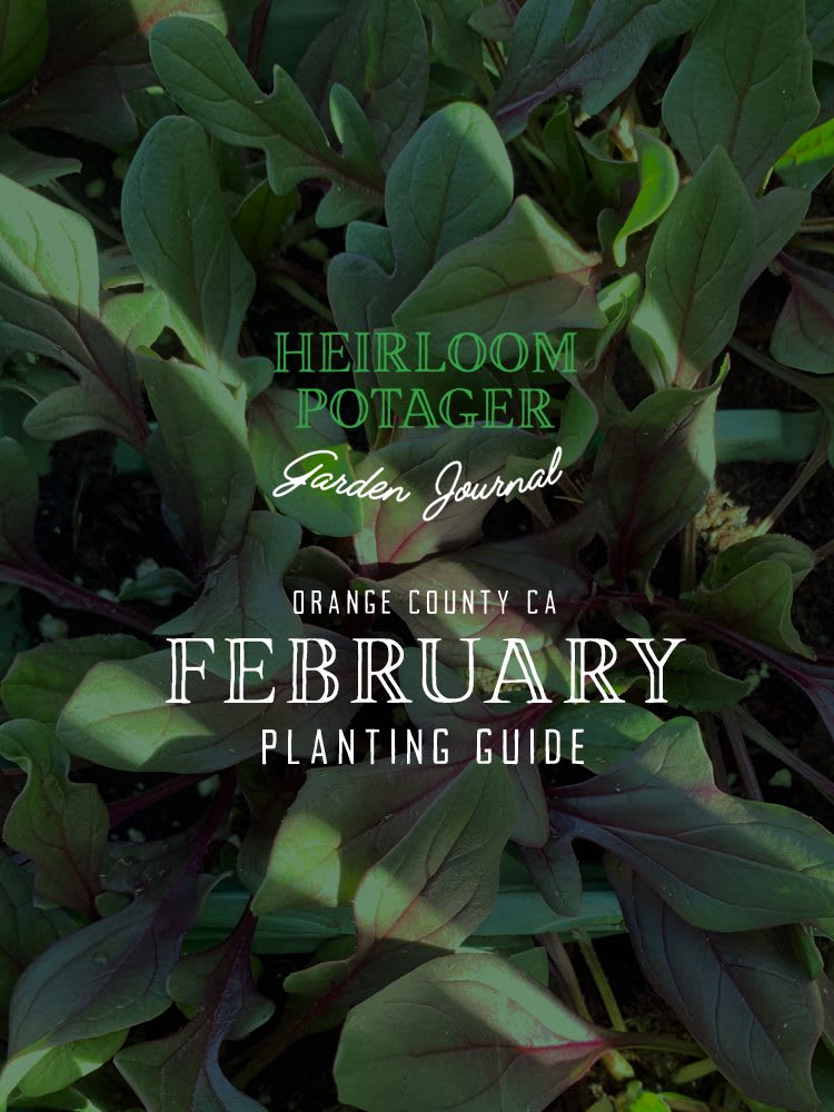 A_2021_FebruaryPlantingGuide_Cover Heirloom Potager Garden Journal | Orange County, CA February Planting Guide