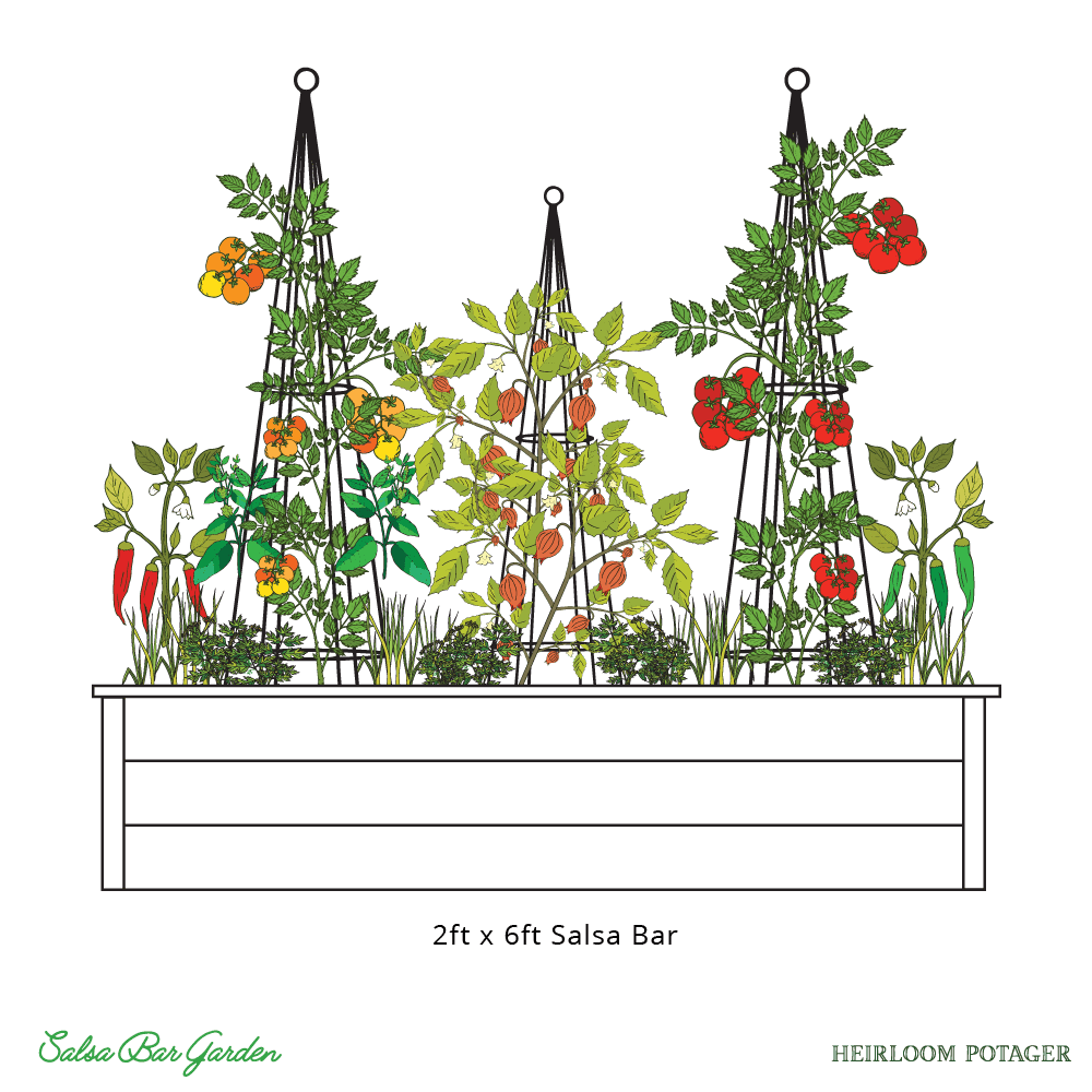 HP_SalsaBarRendering_2x6_web Heirloom Potager 2ftx6ft Salsa Bar with Tomatoes, onions, peppers, and herbs (all rights reserved)