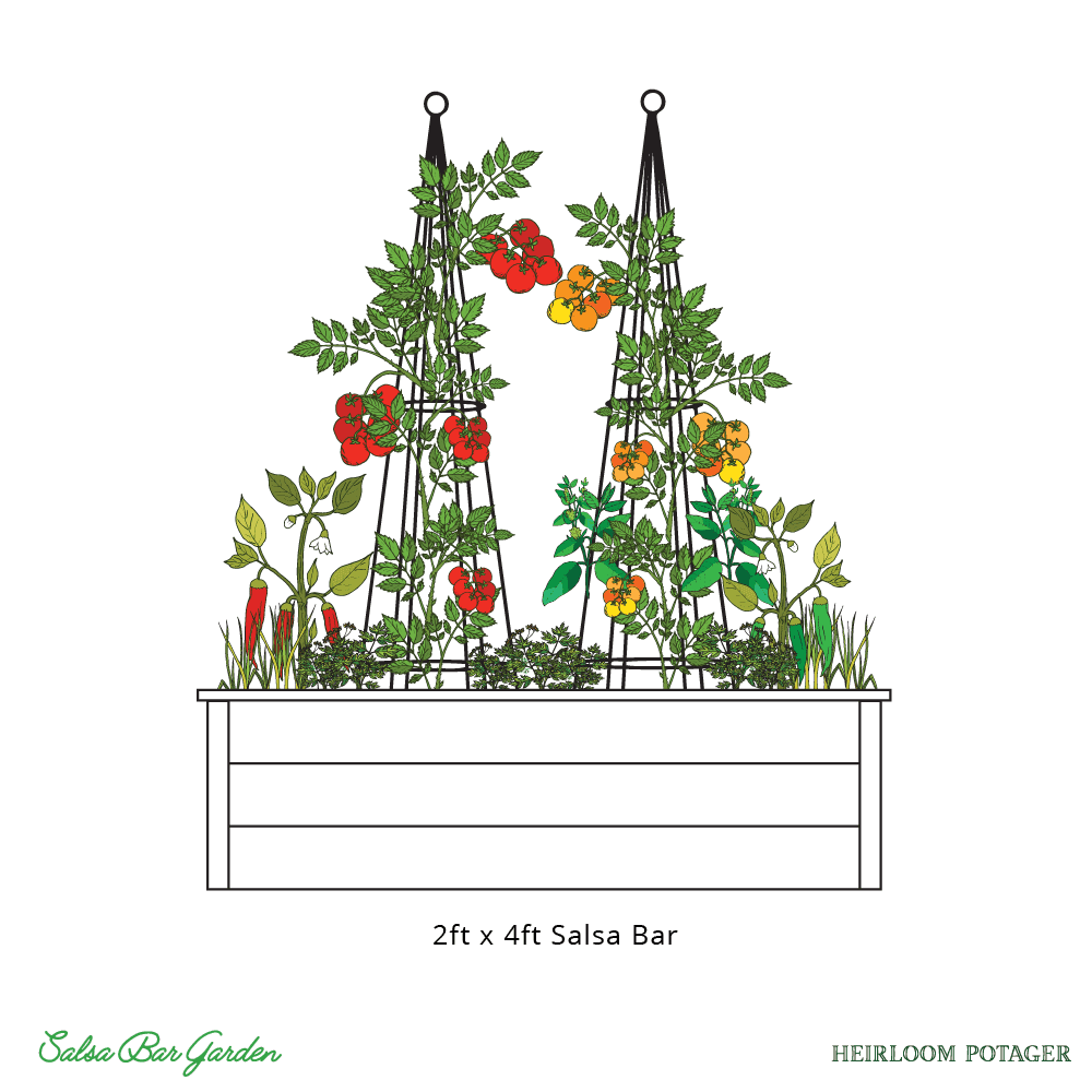 HP_SalsaBarRendering_2x4_web Heirloom Potager 2ftx4ft Salsa Bar with Tomatoes, onions, peppers, and herbs (all rights reserved)