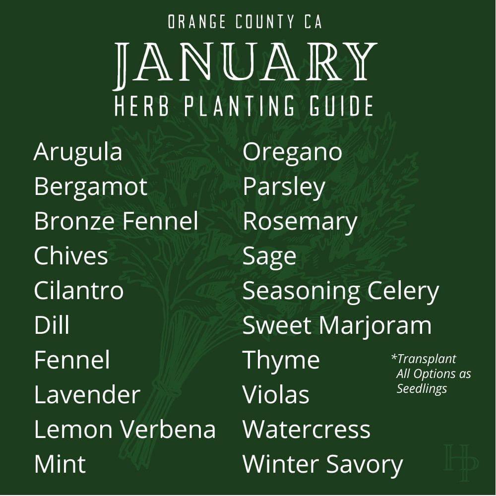 C_2021_JanuaryPlanting_HerbList Orange County, CA January Herb Planting List