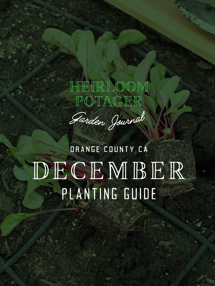 Heirloom Potager Garden Journal | Orange County, CA December Planting Guide