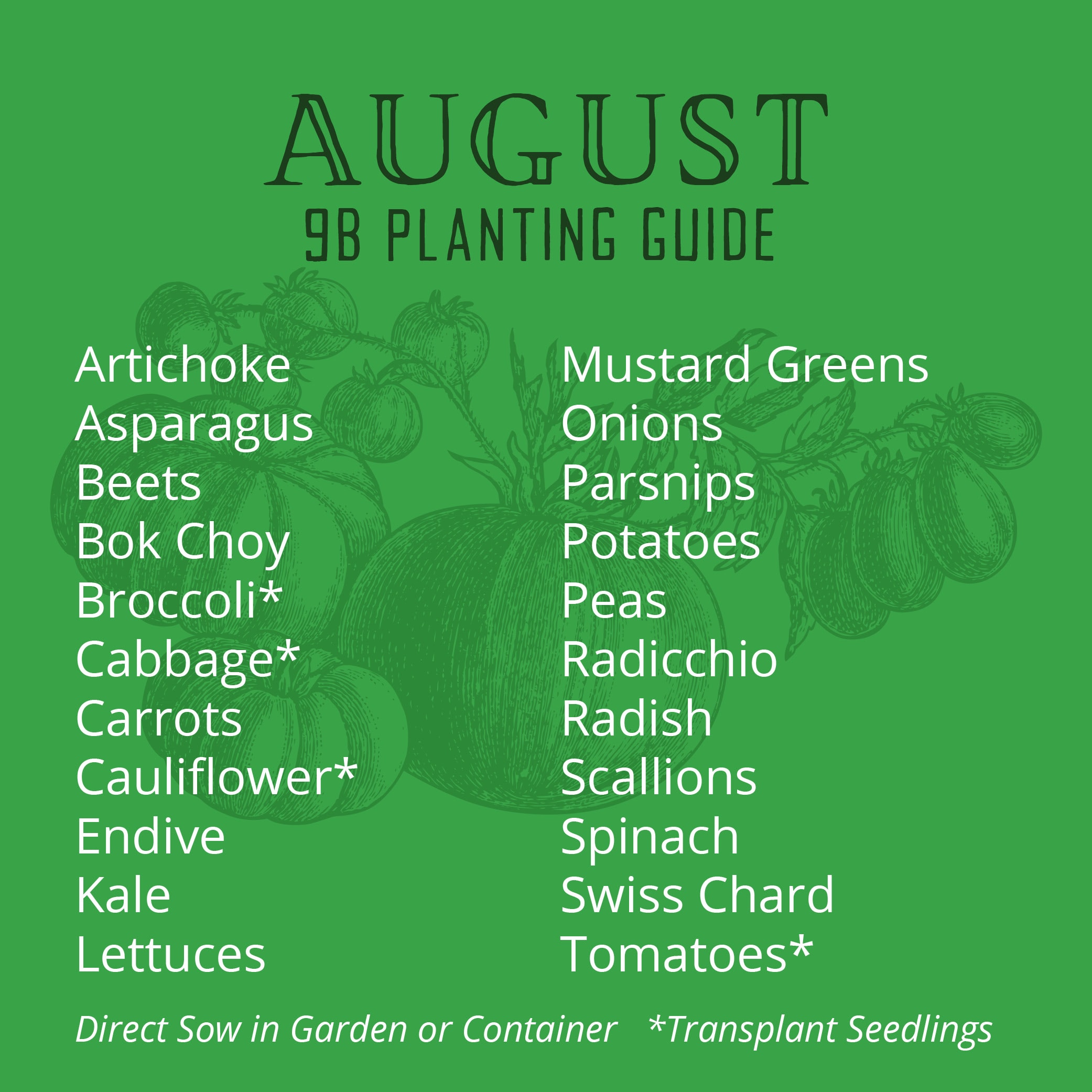 Orange County August planting guide