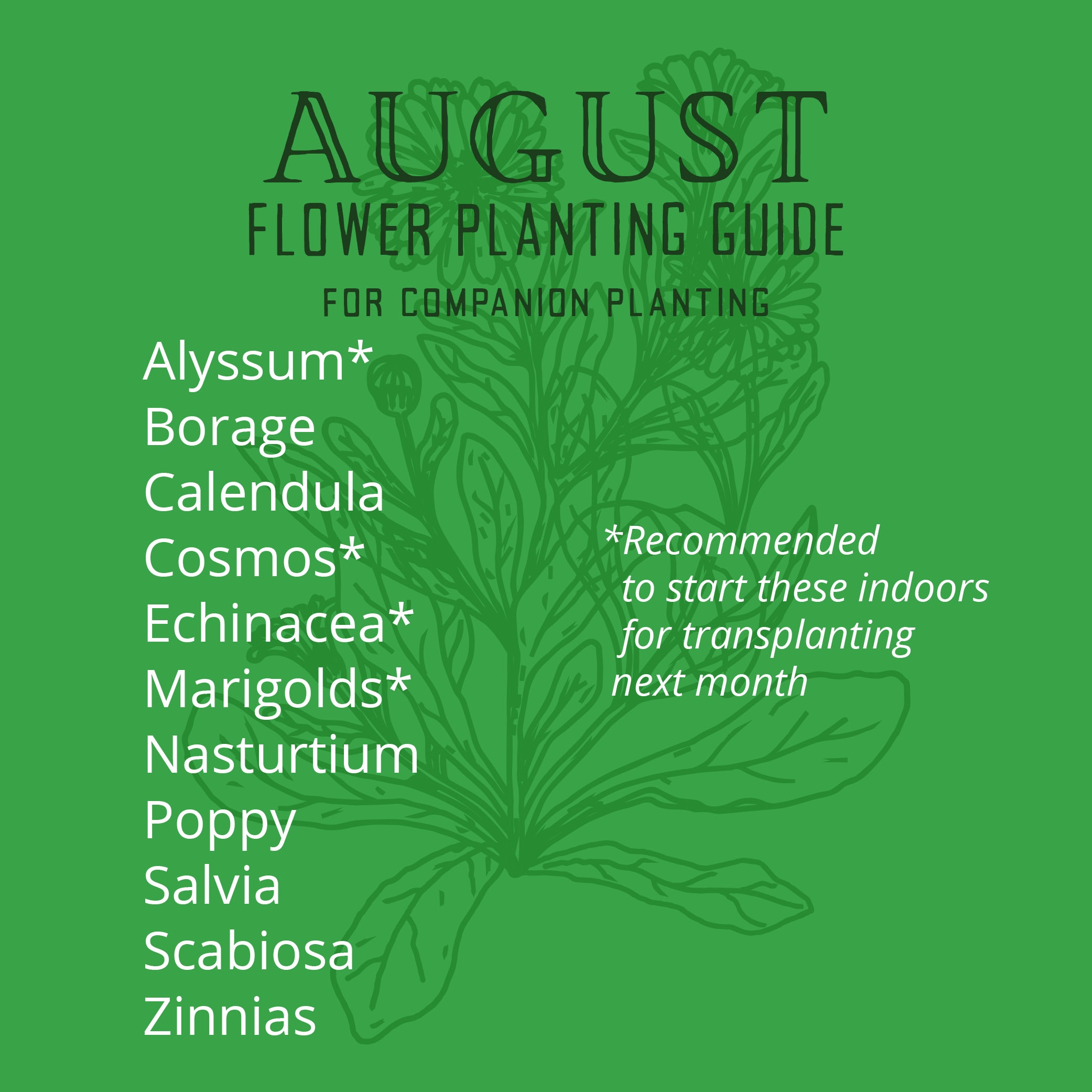 Orange County August planting guide