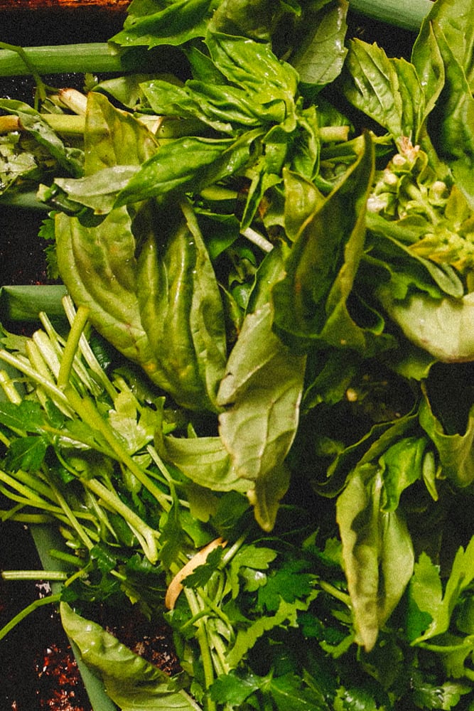 GreenGoddessHummus_2web Fresh basil, parsley and scallions
