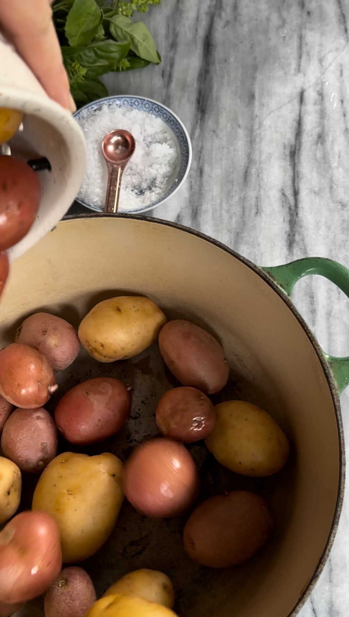 Young red and yukon potatoes ready to be boiled for Pesto Potato Salad