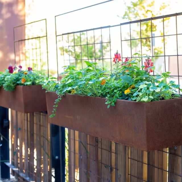 Corten steel garden boxes at a commercial site filled with edible flowers + herbs designed by Heirloom Potager