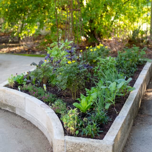 Heirloom garden designed as a nod to days of old installed and maintained by Heirloom Potager