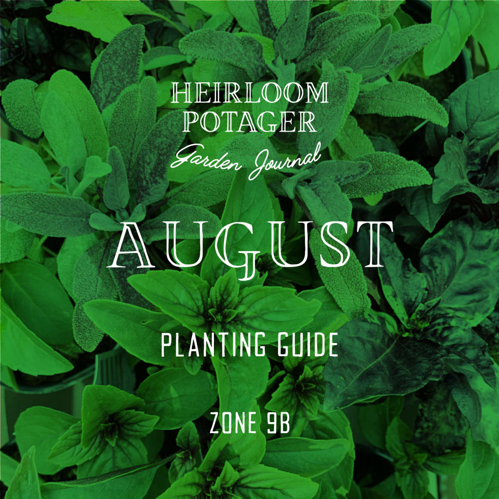 Zone 9b August Planting Guide Heirloom Potager