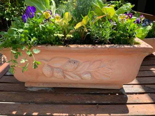 Limited Edition Salad Bar Planter with heirloom lettuces, herbs, and violas