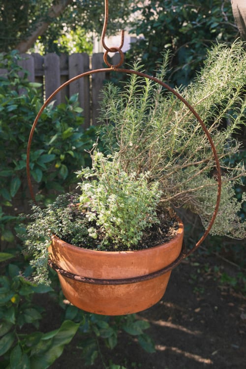 Large Hanging Circle Pottery holder with traditional terracotta pottery planted with savory herbs