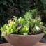 Heirloom Potager Large Culinary Salad Bowl