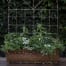 Window Box Planter with solar lights and edible herbs