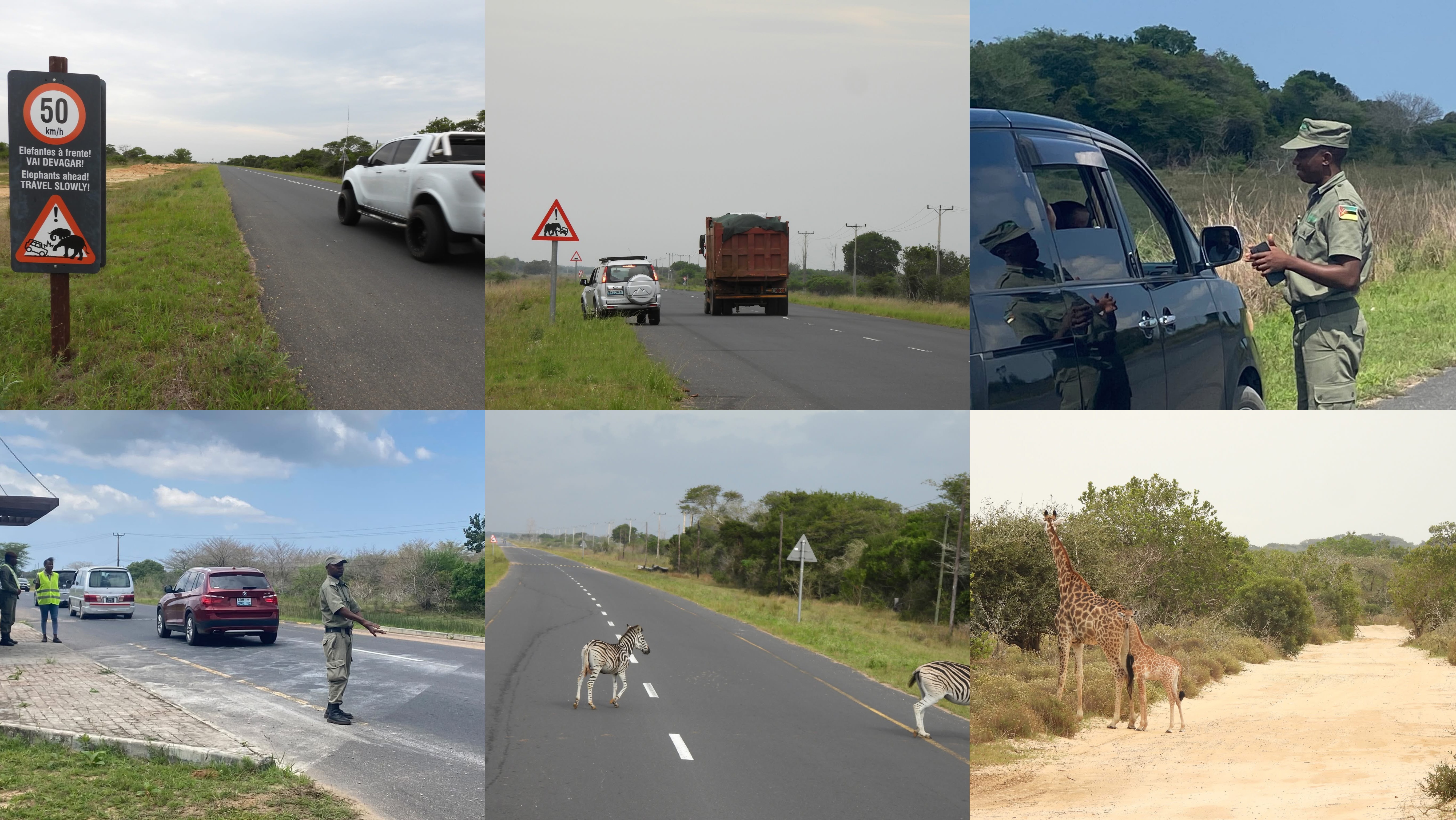 Parque Nacional de Maputo alerta condutores após 1.038 pessoas sensibilizadas